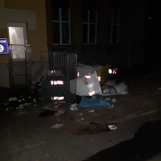 Cinghiali devastano regolarmente i cassonetti del San Martino, l'allarme degli addetti allo spazzamento