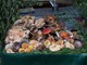 Cervasca: al via la Sagra dei “Pisacan”: colori, sapori e suoni dell’autunno Cervasca: al via la Sagra dei “Pisacan”: colori, sapori e suoni dell’autunno