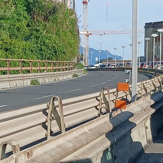 Foto Facebook Matteo Rossi