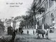 Meraviglie e Leggende di Genova - Il Grand Hotel Méditerranée di Pegli Meraviglie e Leggende di Genova - Il Grand Hotel Méditerranée di Pegli