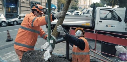 Cantieri in città: nuovi interventi programmati e lavori in corso