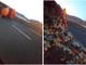 Camion ribaltato sulla A6: riaperto il tratto tra Savona e Altare Camion ribaltato sulla A6: riaperto il tratto tra Savona e Altare