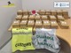 Lotta allo spaccio, Guardia di Finanza e Dogane sequestrano 154 kg di cocaina nel porto di Vado Ligure (FOTO e VIDEO) Lotta allo spaccio, Guardia di Finanza e Dogane sequestrano 154 kg di cocaina nel porto di Vado Ligure (FOTO e VIDEO)