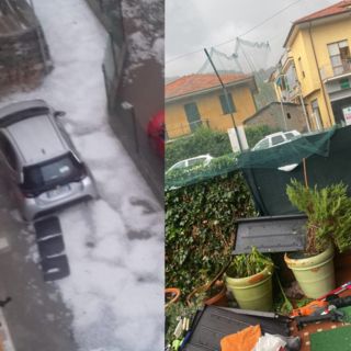 Foto di Paolo Cavassa, Isabella Torta, Gabriele Piccolo, Pierluisa Portalupi