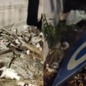 Degrado alla stazione di Sestri Ponente, il Comitato Rinnovamento Ponente: "Serve un intervento urgente" Degrado alla stazione di Sestri Ponente, il Comitato Rinnovamento Ponente: "Serve un intervento urgente"