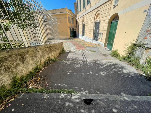 Buche, erbe infestanti, escrementi, spazzatura e uccelli morti: ecco la scalinata G. B. Monti a Sampierdarena (FOTO)