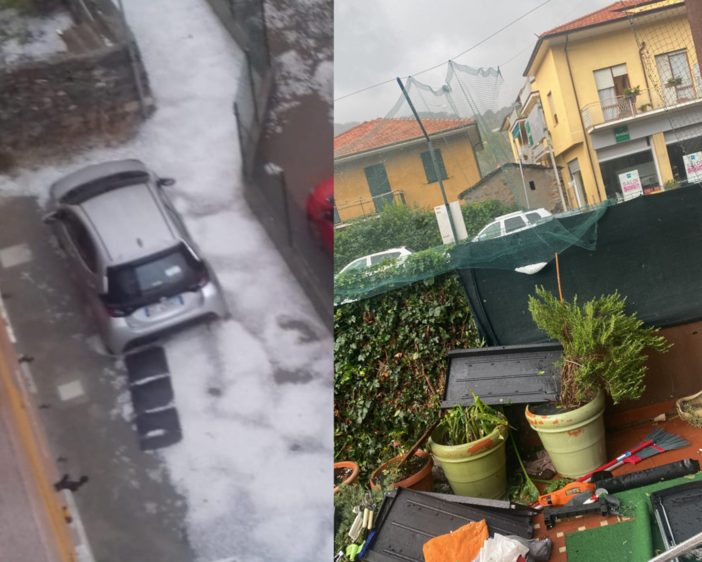 Foto di Paolo Cavassa, Isabella Torta, Gabriele Piccolo, Pierluisa Portalupi