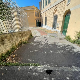 Buche, erbe infestanti, escrementi, spazzatura e uccelli morti: ecco la scalinata G. B. Monti a Sampierdarena (FOTO)