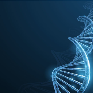 Studio del Gaslini e dell’IIT: individuata una possibile causa genetica della regressione nei disturbi del neurosviluppo