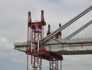 Ponte Morandi, tra oggi e domani le richieste di condanna per i cinquantasette imputati Ponte Morandi, tra oggi e domani le richieste di condanna per i cinquantasette imputati