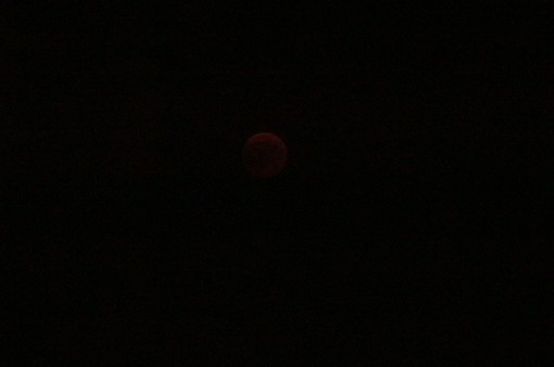 Alcuni scatti dell'eclissi di luna di ieri sera