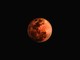 Occhi al cielo questa sera per l'eclissi parziale di luna: il picco alle 23.30 Occhi al cielo questa sera per l'eclissi parziale di luna: il picco alle 23.30