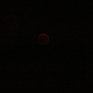 Alcuni scatti dell'eclissi di luna di ieri sera