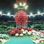 Euroflora compie sessant’anni: mostra gratuita al Porto Antico e convegno sul verde urbano Euroflora compie sessant’anni: mostra gratuita al Porto Antico e convegno sul verde urbano