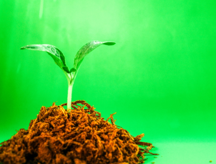 Ecoattivi, l'app che premia i comportamenti sostenibili, arriva anche a Genova: premi e molto altro per i più virtuosi