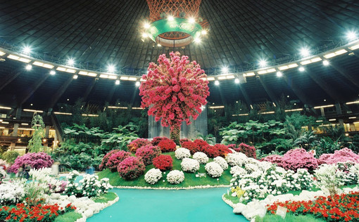 Euroflora compie sessant’anni: mostra gratuita al Porto Antico e convegno sul verde urbano Euroflora compie sessant’anni: mostra gratuita al Porto Antico e convegno sul verde urbano
