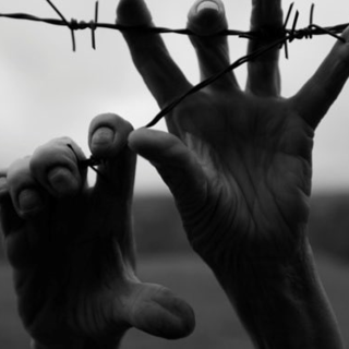 Giorno della Memoria, il Comitato per gli immigrati: "Va ricordato ogni giorno"