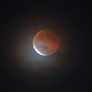 La luna si tinge di rosso, lo spettacolo dell’eclissi al Righi La luna si tinge di rosso, lo spettacolo dell’eclissi al Righi