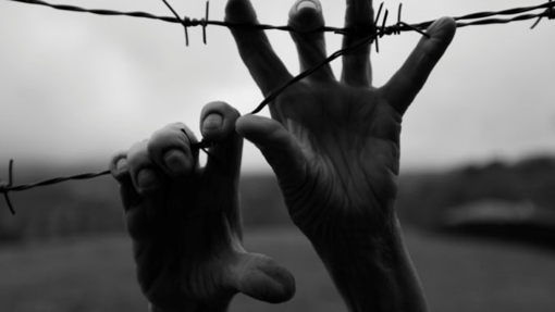 Giorno della Memoria, il Comitato per gli immigrati: "Va ricordato ogni giorno"