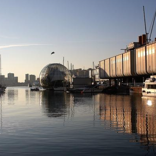 Economia digitale: come si muovono l'Italia e la Liguria