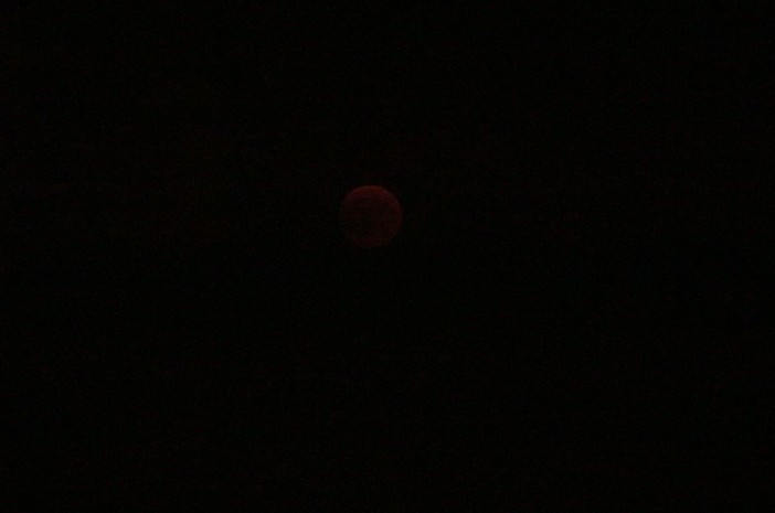 Alcuni scatti dell'eclissi di luna di ieri sera
