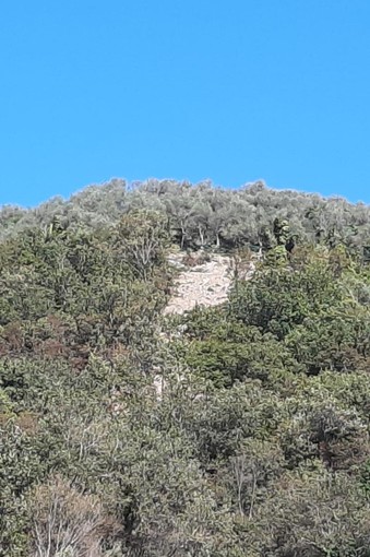 Quasi 300.000 euro per mitigare il rischio idrogeologico nell’entroterra del Tigullio Quasi 300.000 euro per mitigare il rischio idrogeologico nell’entroterra del Tigullio