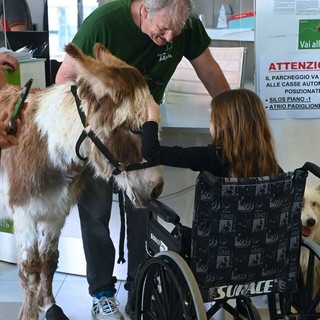 Ospedale Gaslini, ricco calendario di eventi di solidarietà e convegni a settembre Ospedale Gaslini, ricco calendario di eventi di solidarietà e convegni a settembre