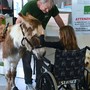 Ospedale Gaslini, ricco calendario di eventi di solidarietà e convegni a settembre