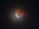La luna si tinge di rosso, lo spettacolo dell’eclissi al Righi La luna si tinge di rosso, lo spettacolo dell’eclissi al Righi