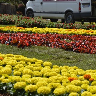 Euroflora porta la magia della primavera alla Genova Design Week
