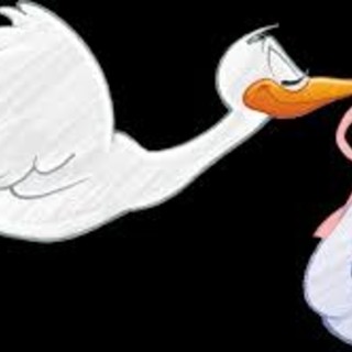 E' nata al Gaslini Amira, la prima bimba venuta alla luce a Genova nel 2020