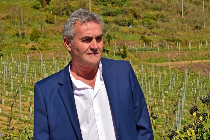 Cinghiali, Muzio (FI) chiede l’intervento del Governo per fronteggiare l’invasione: “Problema di ordine pubblico”