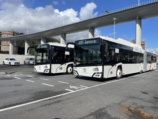 Trasporto pubblico, Natale e Sanna: “Bucci smetta di scaricare responsabilità e metta risorse per rilancio Amt” Trasporto pubblico, Natale e Sanna: “Bucci smetta di scaricare responsabilità e metta risorse per rilancio Amt”