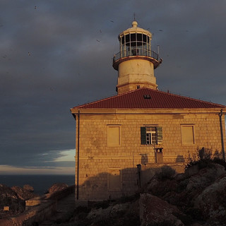 "I viaggi di Paolo Rumiz": la rassegna con la proiezione dell'"Ultimo faro" "I viaggi di Paolo Rumiz": la rassegna con la proiezione dell'"Ultimo faro"