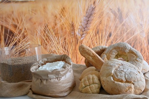 Alluvione Emilia Romagna, Coldiretti/Cai: "Persi raccolti per 200 mln di kg di pane" Alluvione Emilia Romagna, Coldiretti/Cai: "Persi raccolti per 200 mln di kg di pane"
