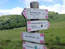 Foto Facebook Giuan Marti