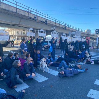 “No alla funivia”, il flash mob davanti alla Stazione Marittima: “Non serve a nessuno” “No alla funivia”, il flash mob davanti alla Stazione Marittima: “Non serve a nessuno”