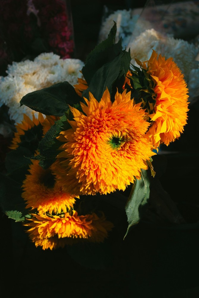 La cremazione, una pratica antica