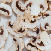 Tumore alla prostata, Bassetti: "I funghi champignon possono ritardare e prevenire la progressione"