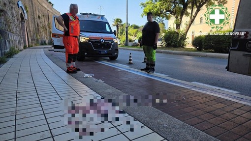 Giovane travolto in corso Italia, indagato per tentato omicidio l'investitore Giovane travolto in corso Italia, indagato per tentato omicidio l'investitore