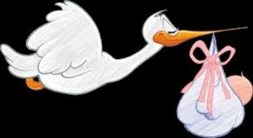 E' nata al Gaslini Amira, la prima bimba venuta alla luce a Genova nel 2020