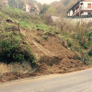Maltempo e disagi, Confagricoltura Liguria: "Basta con l'emergenza prevedibile, si attivi una task force per il territorio"