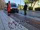 Corso Italia, pedone travolto da un'automobilista nella notte: 28enne in gravissime condizioni al San Martino Corso Italia, pedone travolto da un'automobilista nella notte: 28enne in gravissime condizioni al San Martino