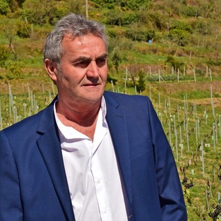 Cinghiali, Muzio (FI) chiede l’intervento del Governo per fronteggiare l’invasione: “Problema di ordine pubblico”