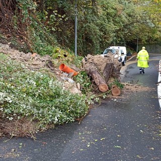 La frana a Cogorno (Foto Città Metropolitana di Genova) La frana a Cogorno (Foto Città Metropolitana di Genova)