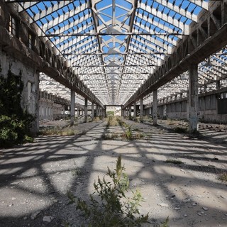 "Golden Raatio", la mostra di Giorgia Zanusso espota al Museo della Commenda