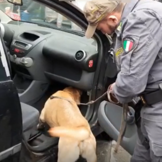 15 chili di cocaina in macchina, 26enne arrestato dalla finanza, con l'aiuto del cane antidroga (Video)