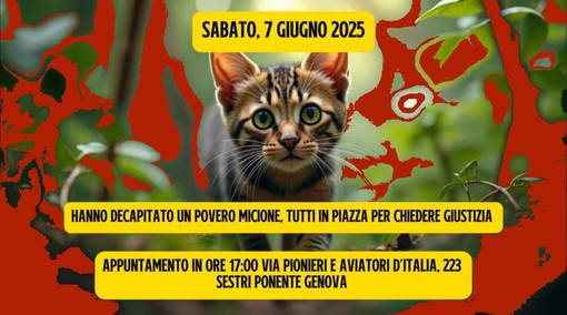 Foto Facebook Animalisti Genovesi Foto Facebook Animalisti Genovesi