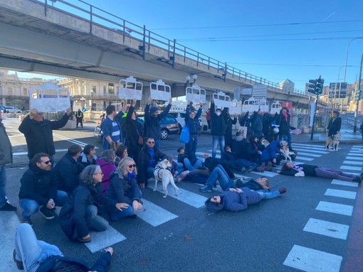 “No alla funivia”, il flash mob davanti alla Stazione Marittima: “Non serve a nessuno” “No alla funivia”, il flash mob davanti alla Stazione Marittima: “Non serve a nessuno”