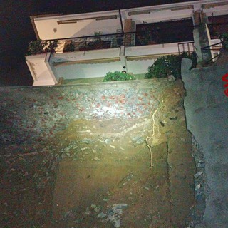 immagine di repertorio